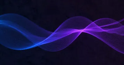 DeFi in a Bear Market: What TVL Data Shows About Resilience