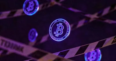 Evaluating Memecoin Launch Tools: Risk Assessment