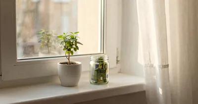 Emergency Fund Essentials for Financial Security