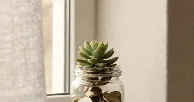 How to Protect Your P2P Lending Investments in Europe (2025)