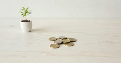 Multi-Currency Banking for Frequent Travelers