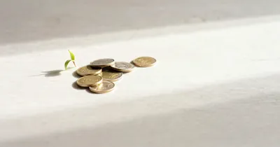 Understanding P2P Platform Default Rates