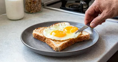 High-Protein Breakfast Basics for Beginners