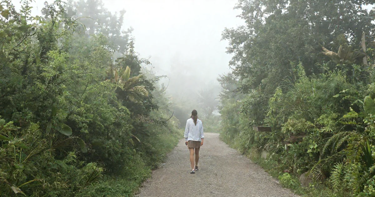 Tai Chi Walking: Gentle Movement Meditation for Stress