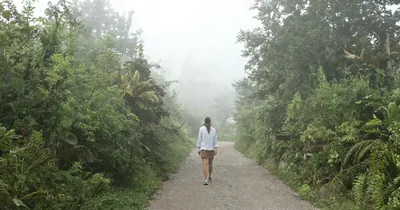 Tai Chi Walking: Gentle Movement Meditation for Stress