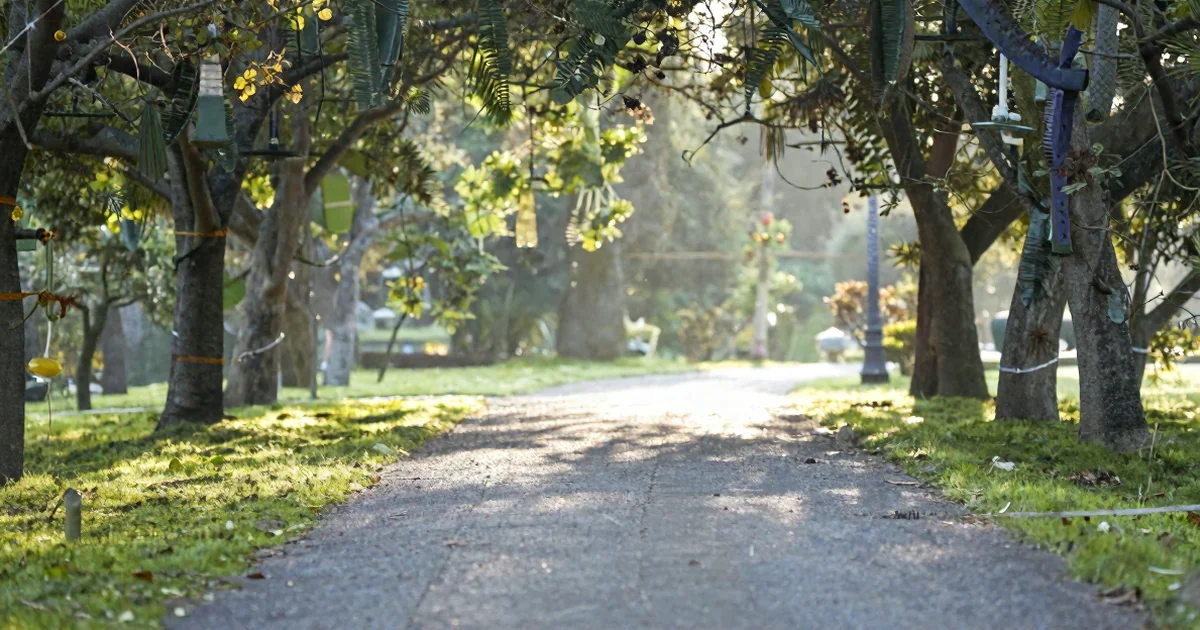 The Mental Health Benefits of Regular Exercise: Neuroscience and Practical Applications