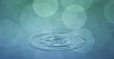 Vagus Nerve Stimulation: Natural Techniques for Stress Relief