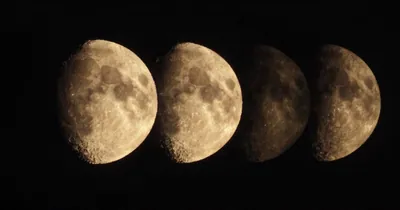 Cycle Syncing: What the Research Says About Phase-Based Self-Care