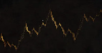 How Position Size Reveals True Conviction