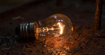 The Cortisol Effect: How Stress Hormones Sabotage Your Trades