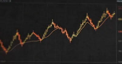 The Paradox of Trading Education
