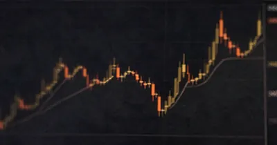 The Trader's Illusion of Control