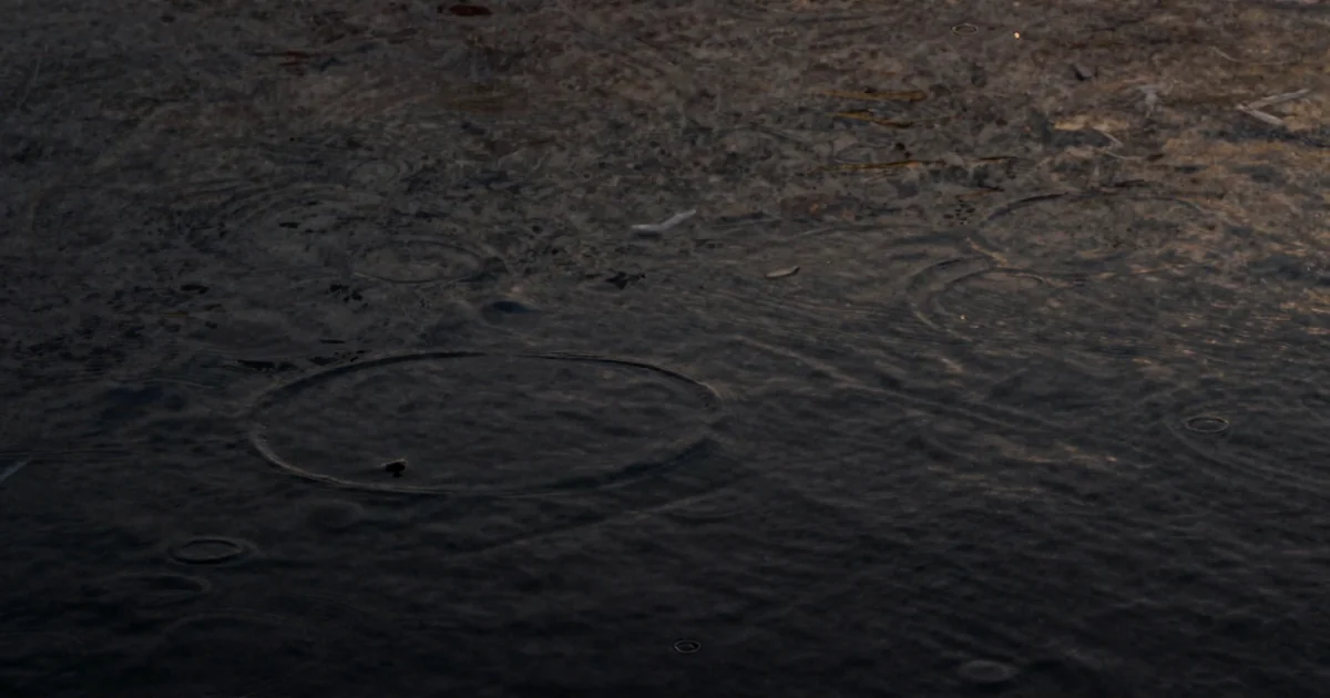 When Doing Nothing Is the Right Call: The Research on Inaction