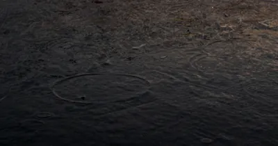 When Doing Nothing Is the Right Call: The Research on Inaction