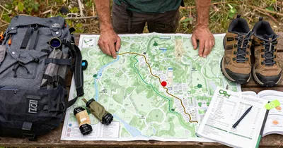 Walking Tours: Free vs Paid Tour Value Comparison